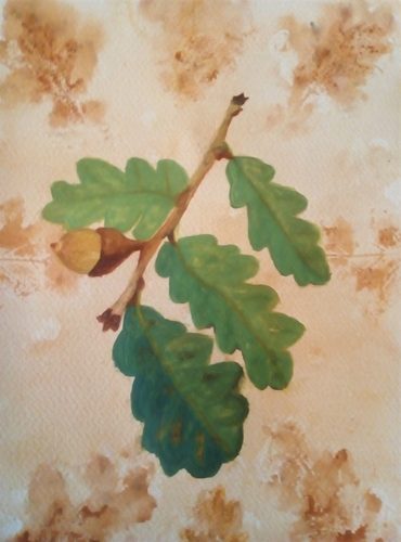 Christine P, Acorns, watercolour.